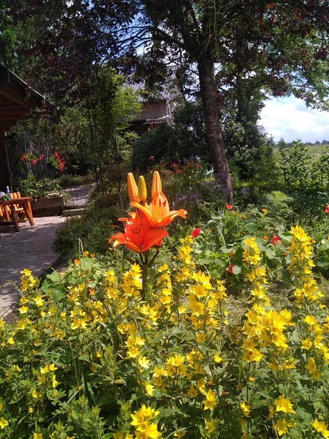 Chalet Le Paradou Adults Only Lessive Esterno foto